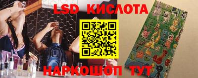 трава Сланцы
