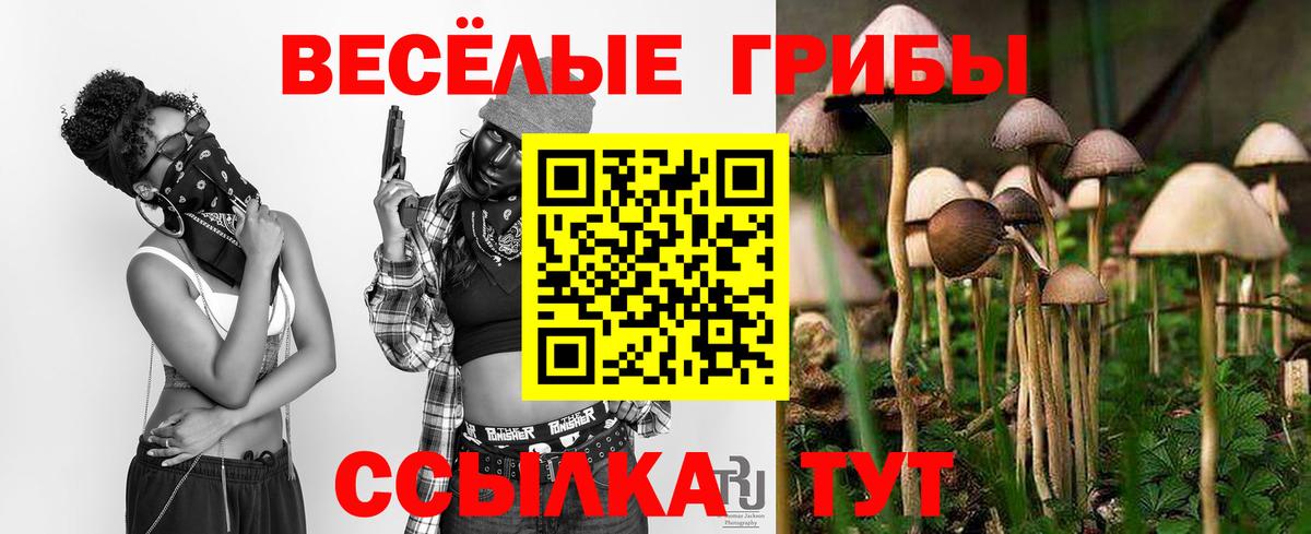 Самара  Псилоцибиновые грибы прущие грибы  Вход с VPN 